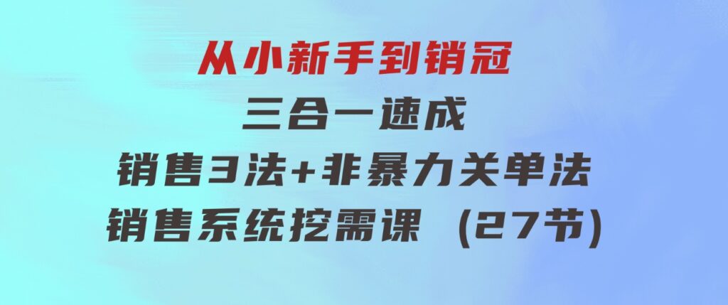 从小新手到销冠 三合一速成：销售3法+非暴力关单法+销售系统挖需课 (27节)-大源资源网