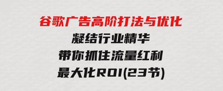 谷歌广告高阶打法与优化，凝结行业精华/带你抓住流量红利/最大化ROI(23节)-大源资源网