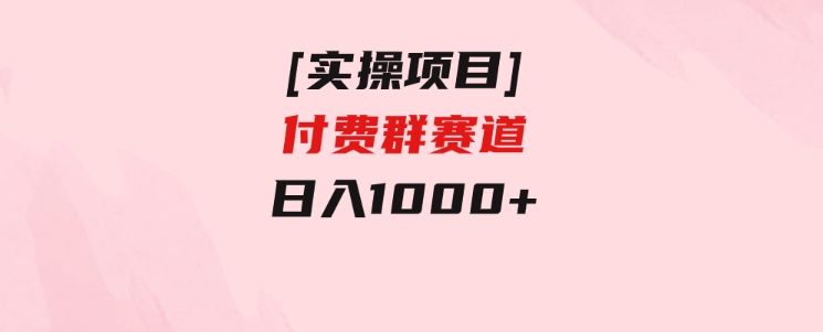 [实操项目]付费群赛道，日入1000+-大源资源网