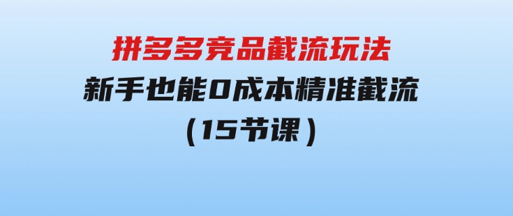 拼多多竞品截流玩法，新手也能0成本精准截流（15节课）-大源资源网