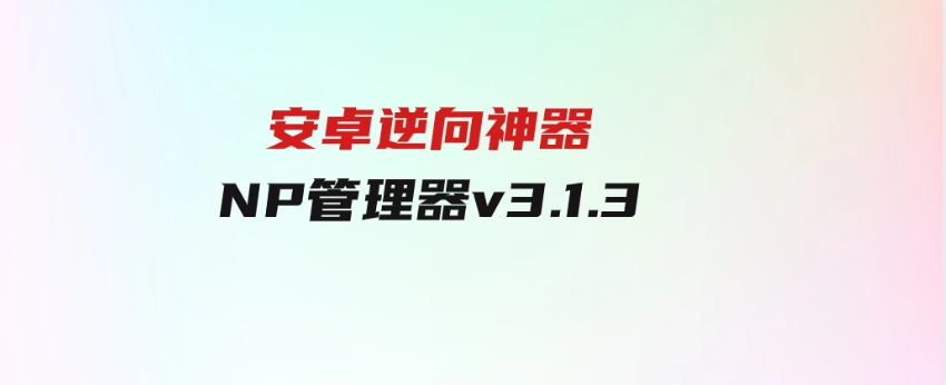 安卓逆向神器NP管理器v3.1.3-大源资源网