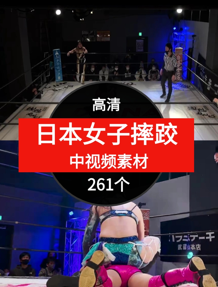 日本女子摔跤视频中视频素材-大源资源网