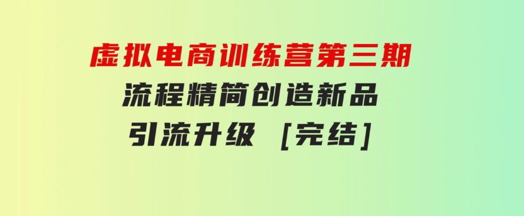 虚拟电商训练营第三期丨流程精简丨创造新品丨引流升级 [完结]-大源资源网