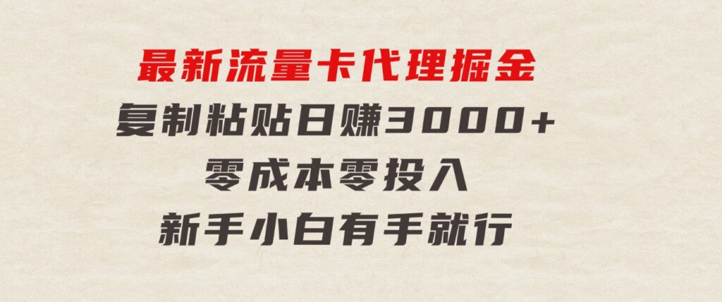 最新流量卡代理掘金，复制粘贴日赚3000+，零成本零投入，新手小白有手就行-大源资源网