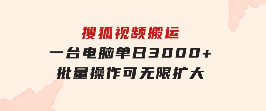 搜狐视频搬运，一台电脑单日3000+，批量操作，可无限扩大-大源资源网