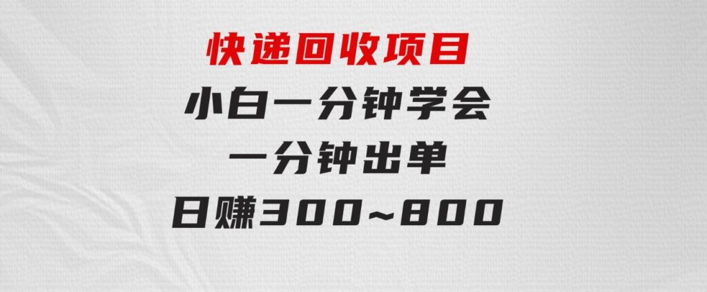 快递 回收项目，容易上手，小白一分钟学会，一分钟出单，日赚300~800-大源资源网