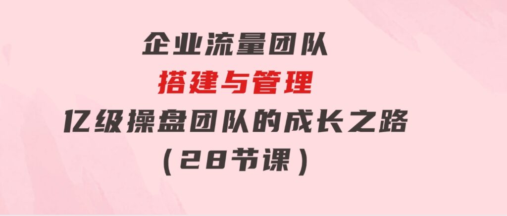 企业 流量团队-搭建与管理，亿级 操盘团队的成长之路（28节课）-大源资源网