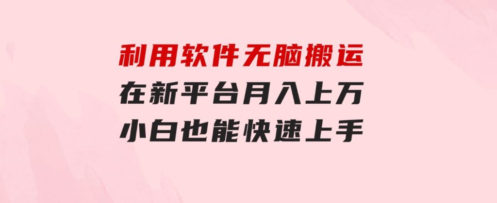 利用软件无脑搬运，在新平台月入上万，小白也能快速上手-大源资源网