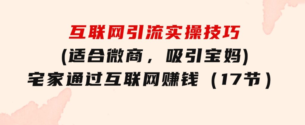 互联网引流实操技巧(适合微商，吸引宝妈)，宅家通过互联网赚钱（17节）-大源资源网