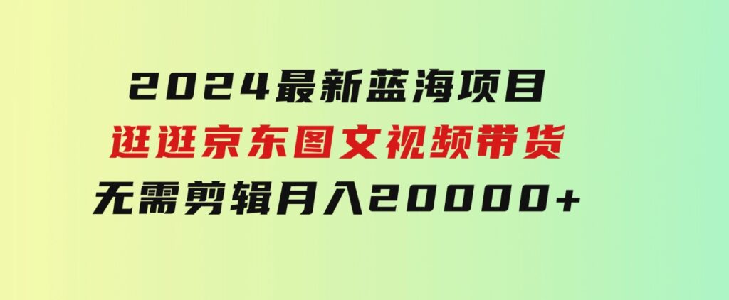 2024最新蓝海项目，逛逛京东图文视频带货，无需剪辑，月入20000+-大源资源网