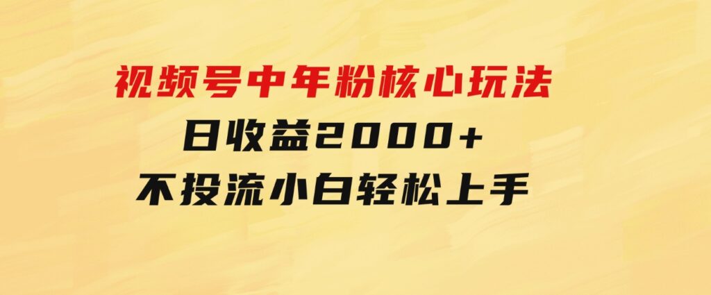 视频号中年粉核心玩法 日收益2000+ 不投流小白轻松上手-大源资源网