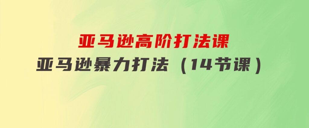 亚马逊 高阶打法课，亚马逊 暴力打法（14节课）-大源资源网