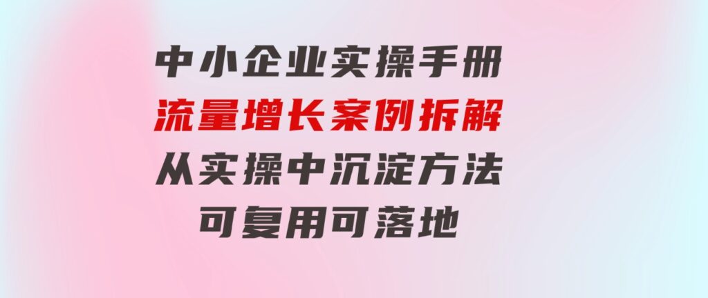 中小 企业 实操手册-流量增长案例拆解，从实操中沉淀方法，可复用可落地-大源资源网