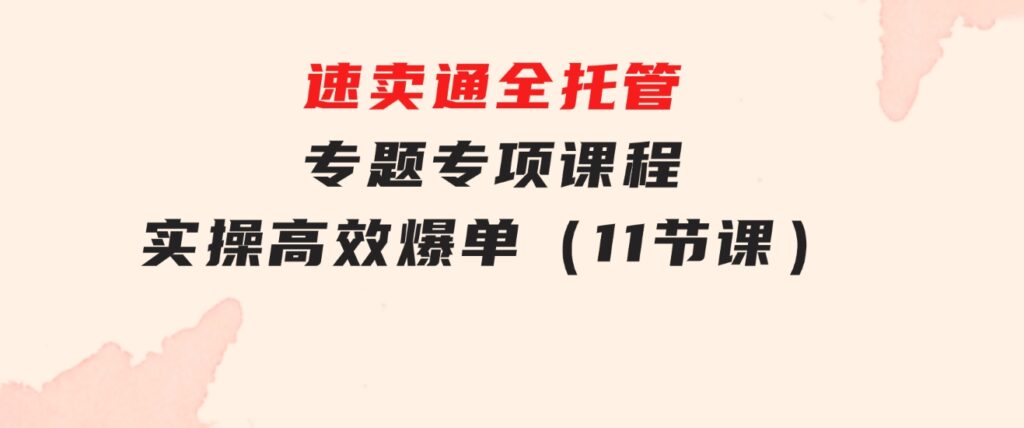 速卖通 全托管专题专项课程，实操 高效 爆单（11节课）-大源资源网