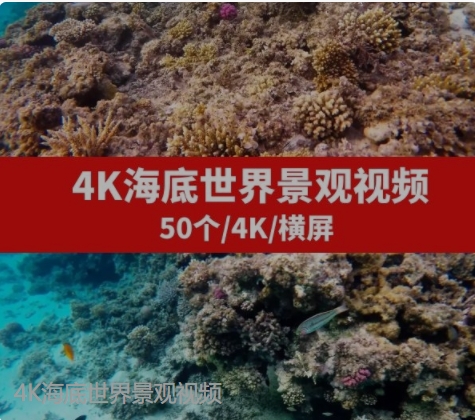 4K海底世界景观视频-大源资源网