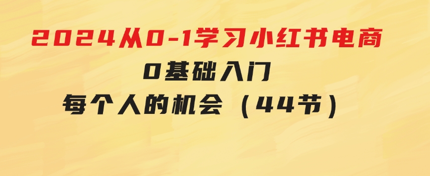 2024从0-1学习小红书电商，0基础入门，每个人的机会（44节）-大源资源网