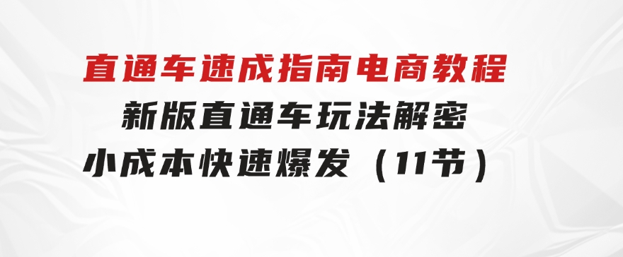 直通车 速成指南电商教程：新版直通车玩法解密，小成本快速爆发（11节）-大源资源网