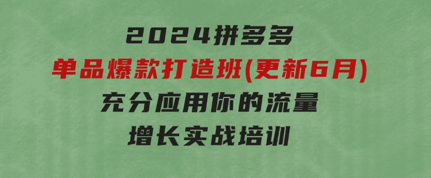 2024拼多多-单品爆款打造班(更新6月)，充分应用你的流量，增长实战培训-大源资源网