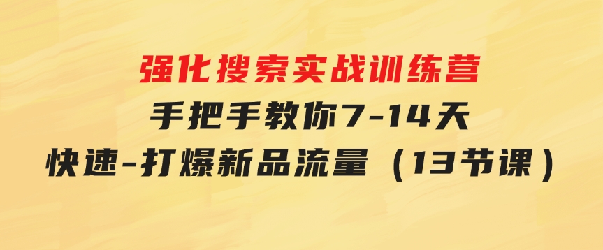 强化 搜索实战训练营，手把手教你 7-14天快速-打爆新品流量（13节课）-大源资源网