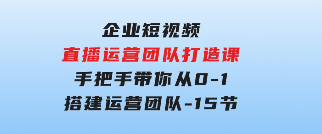 企业短视频-直播运营团队打造课，手把手带你从0-1 搭建运营团队-15节-大源资源网