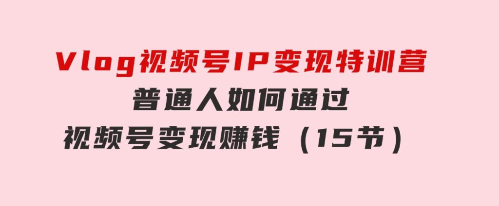 Vlog 视频号IP变现特训营，普通人如何通过视频号变现赚钱（15节）-大源资源网