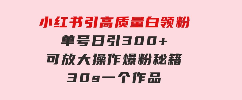 小红书引高质量白领粉，单号日引300+，可放大操作，爆粉秘籍！30s一个作品-大源资源网