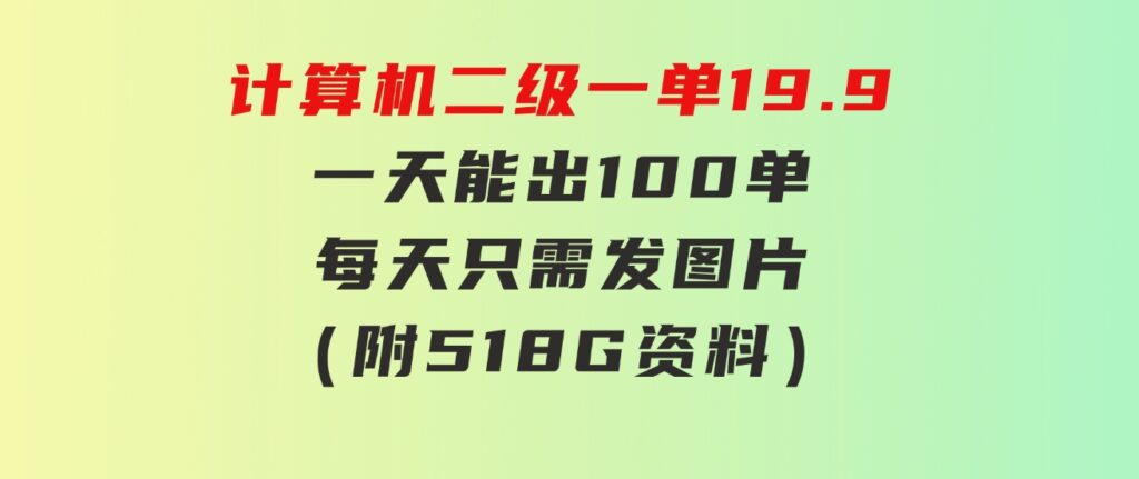 计算机二级，一单19.9 一天能出100单，每天只需发发图片（附518G资料）-大源资源网