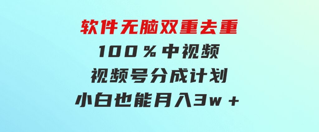 利用这款软件无脑双重去重 100％中视频＋视频号分成计划 小白也能月入3w＋-大源资源网