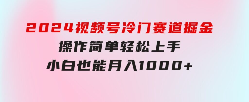 2024视频号冷门赛道掘金，操作简单轻松上手，小白也能月入1000+-大源资源网