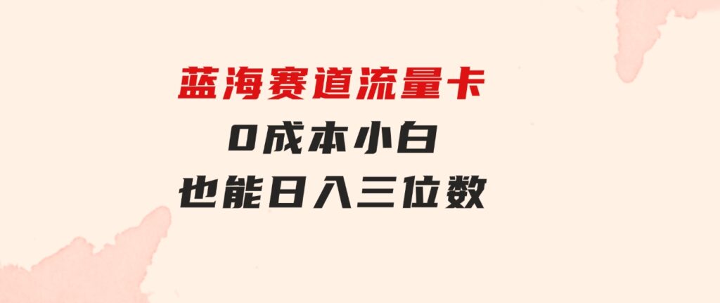 蓝海赛道 流量卡 0成本 小白也能日入三位数-大源资源网