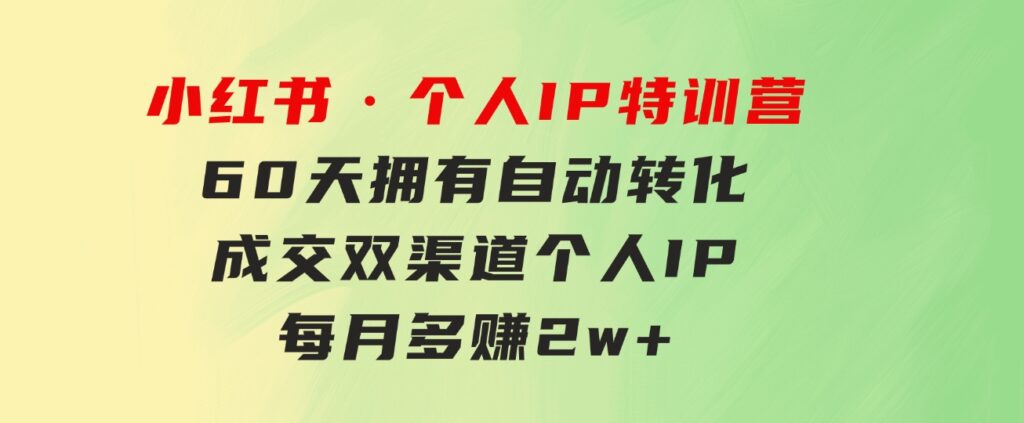 小红书·个人IP特训营：60天拥有 自动转化成交双渠道个人IP，每月多赚 2w+-大源资源网