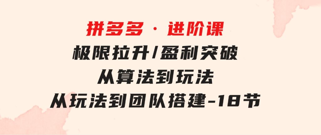 拼多多·进阶课：极限拉升/盈利突破：从算法到玩法 从玩法到团队搭建-18节-大源资源网