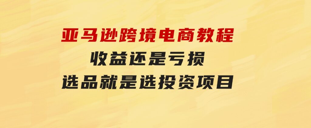 亚马逊跨境电商教程：收益还是亏损！选品就是选投资项目-大源资源网