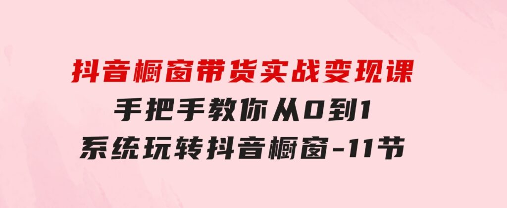 抖音橱窗带货实战变现课：手把手教你从0到1系统玩转抖音橱窗-11节-大源资源网