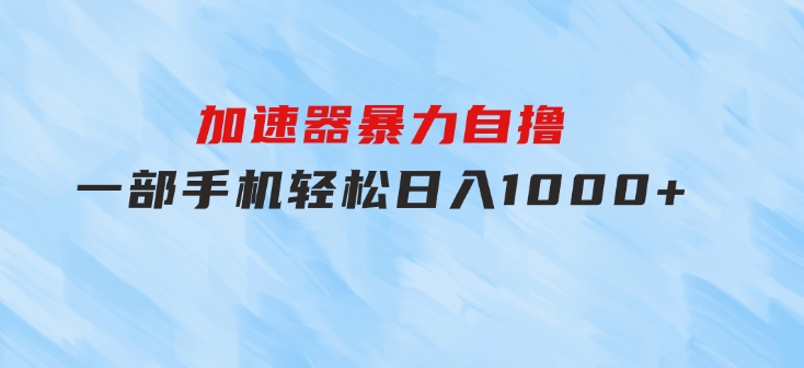 加速器暴力自撸，一部手机轻松日入1000+-大源资源网