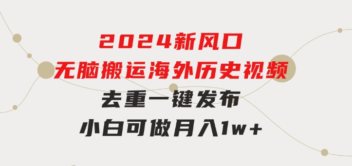 2024新风口，无脑搬运海外历史视频，去重一键发布，小白可做，月入1w不…-大源资源网