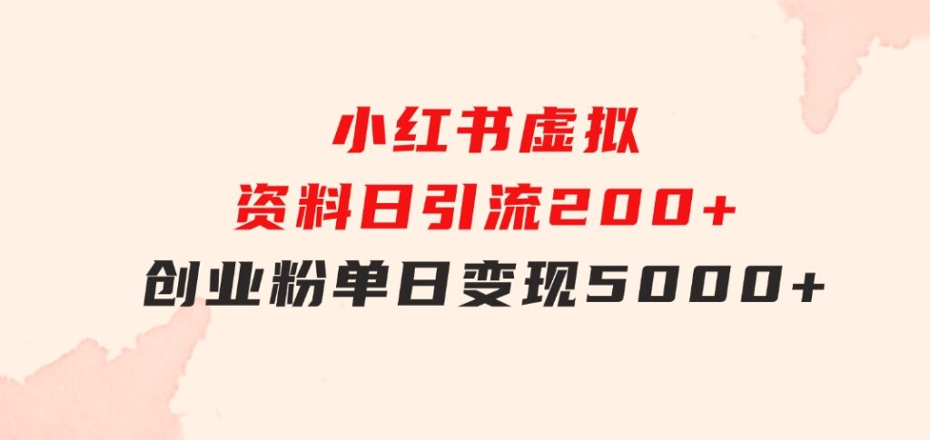 小红书虚拟资料日引流200+创业粉，单日变现5000+-大源资源网