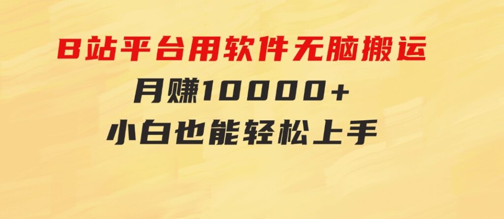 B站平台用软件无脑搬运，月赚10000+，小白也能轻松上手-大源资源网