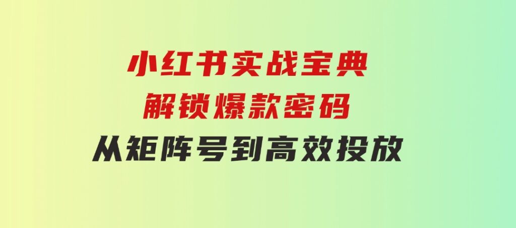 小红书实战宝典：解锁爆款密码，从矩阵号到高效投放-大源资源网