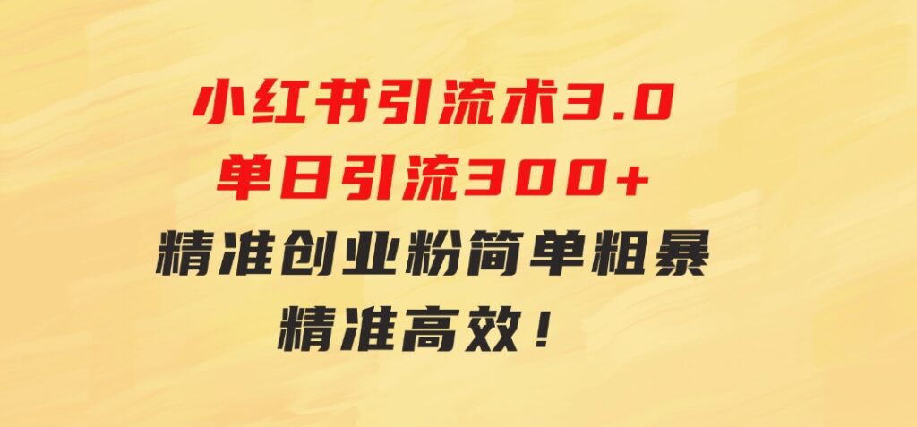 24年最新小红书引流术3.0，单日引流300+精准创业粉，简单粗暴，精准高效！-大源资源网