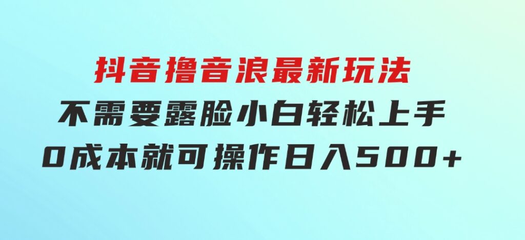 抖音撸音浪最新玩法，不需要露脸，小白轻松上手，0成本就可操作，日入500+-大源资源网