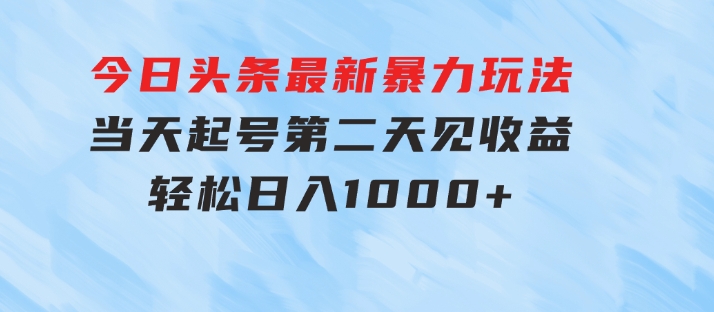 今日头条最新暴力玩法，当天起号，第二天见收益，轻松日入1000+-大源资源网