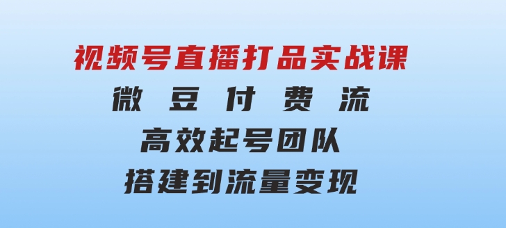 视频号直播打品实战课：微 豆 付 费 流，高效起号，团队搭建到流量变现-大源资源网