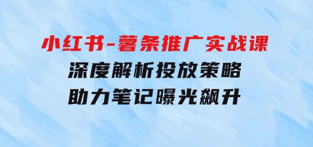 小红书-薯 条 推 广 实战课：深度解析投放策略，助力笔记曝光飙升-大源资源网