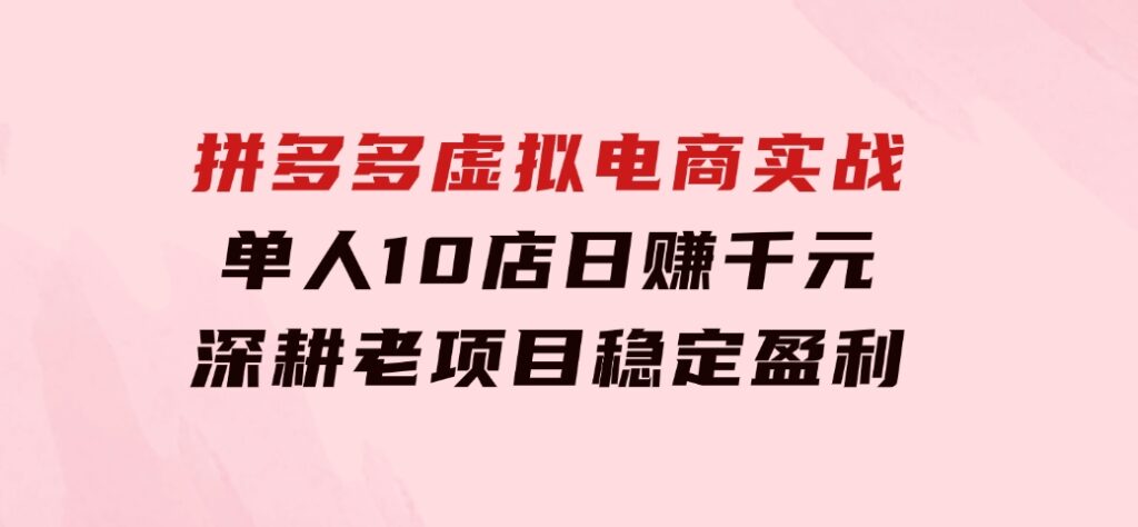 拼多多虚拟电商实战：单人10店日赚千元，深耕老项目，稳定盈利不求风口-大源资源网