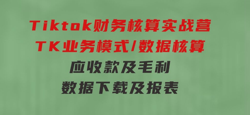 Tiktok财务核算实战营：TK业务模式/数据核算/应收款及毛利/数据下载及报表-大源资源网