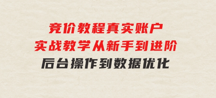 竞价教程：真实账户 实战教学 从新手到进阶·后台操作到数据优化-大源资源网