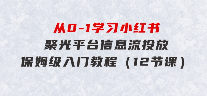 从0-1学习小红书 聚光平台信息流投放，保姆级入门教程（12节课）-大源资源网