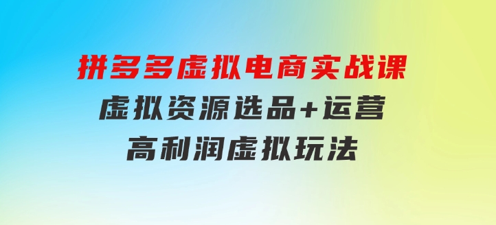 拼多多虚拟电商实战课：虚拟资源选品+运营，高利润虚拟玩法（更新14节）-大源资源网