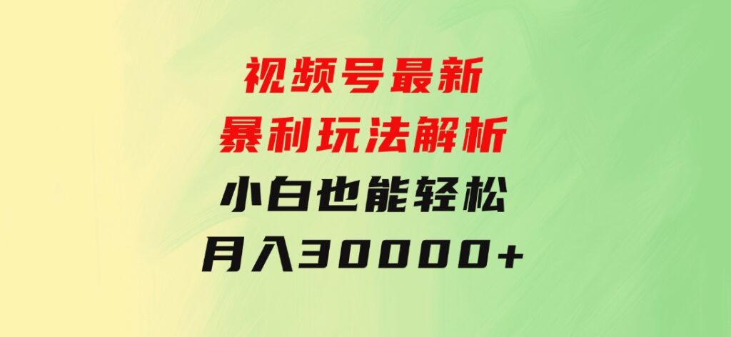 视频号最新暴利玩法解析，小白也能轻松月入30000+-大源资源网